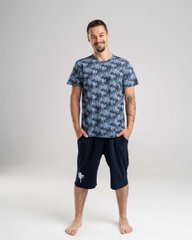 Чоловічий комплект з шортами - Листя по футболці - Family look батько/син, Темно-синій, m