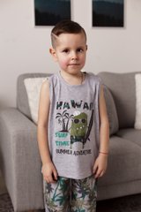 Комплект бавовняний для хлопчика - Hawaii, Світло-сірий, 3-4
