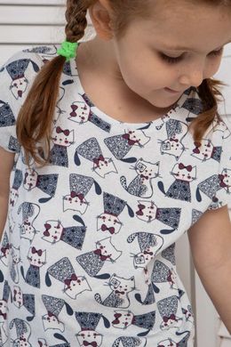 Пижама на девочку с шортиками - темно-синие котики, Белый, 3-4