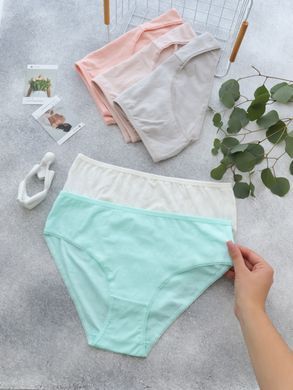Трусики наборы (5 шт. в упаковке батал) 124130-2 4XL