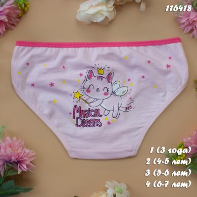 Трусики для девочки 116418 (5 шт в упаковке) размер 2 (4-5 лет) Фото товара - Интернет-магазин Zaragoza