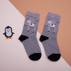 Шкарпетки для хлопчика в смужку з ведмедиком, Сірий, 25-29