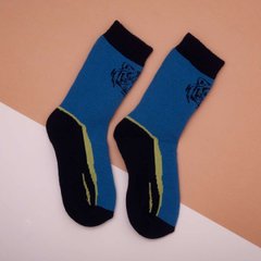 Шкарпетки утеплені для хлопчика-підлітка - Tigers, Синій, 30-35