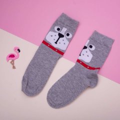 Шкарпетки для дівчинки-підлітка - сірі з мордочкою, Сірий, 30-35